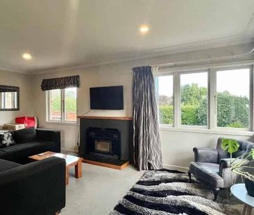 The Heart of Waiuku Country Living - Photo 1