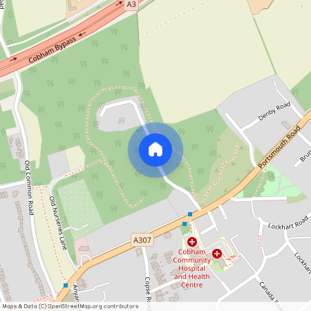 Old Common, Cobham KT11