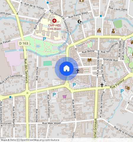 CHATEAUBRIANT (44110)