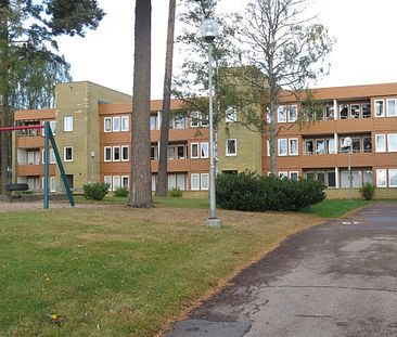 Stensberg, Ljungby, Kronoberg - Foto 1