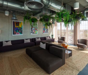 Studio to rent - Photo 5