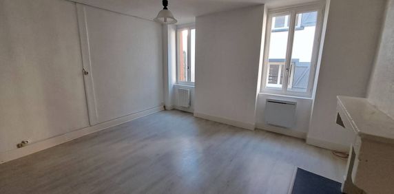 Location appartement 1 pièce 34.57 m² à Vienne (38200) - Photo 2