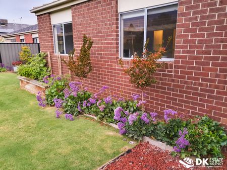 FAMILY ENTERTAINER! - Photo 5