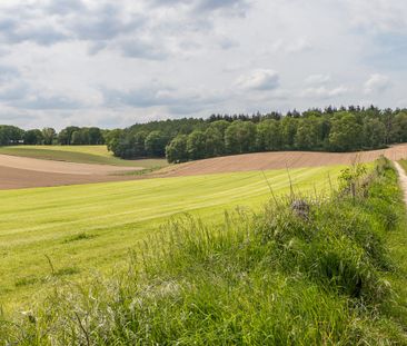 Tijdelijk te huur! Vrijstaand vakantiehuis met buitenruimte in Groe... - Photo 1