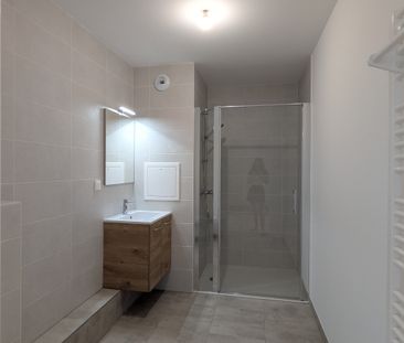 Location Appartement 2 pièces 43m² MITTELHAUSBERGEN 67206 - Photo 4
