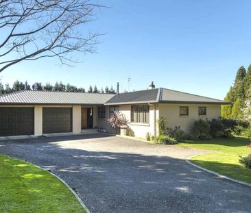 Sunny Haven - Photo 1