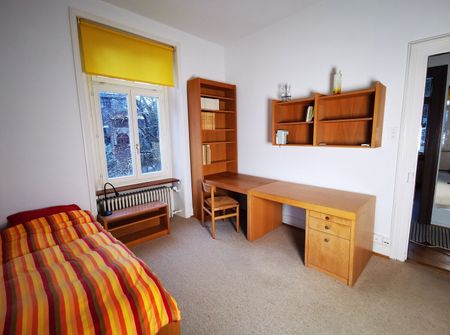 41/2 ZI-WOHNUNG IN ZÜRICH - KREIS 7 FLUNTERN, FURNISHED, TEMPORARY - Foto 3