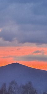 (Symbol 438819) - Photo 3