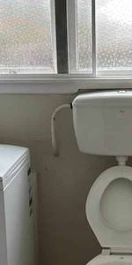 Scarce as hens teeth - Water is Included - Photo 4