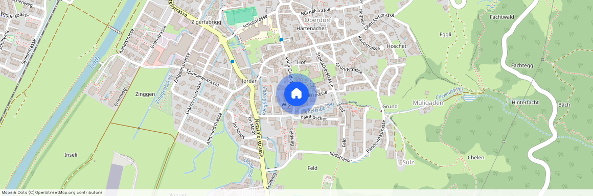 8753, Mollis, Wiesstrasse, 2