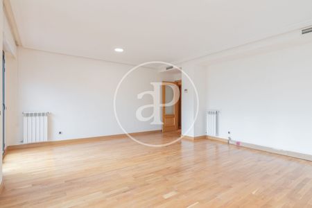 Flat for rent in Castellana - Photo 3