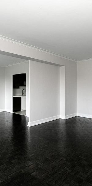 1Bedroom - 3465 Rue Redpath, Montréal - Photo 1