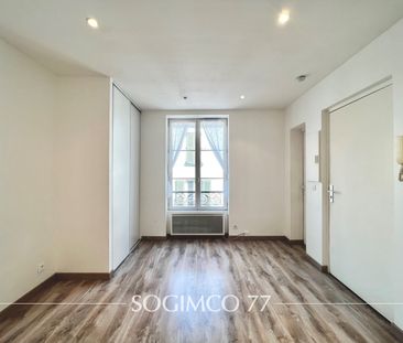 Location Appartement 1 pièce 19m² LAGNY SUR MARNE 77400 - Photo 5