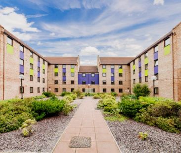 Standard Plus Room - Photo 2