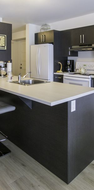 Logement 5 1/2 - 1er Aout - Saint-Jérôme - Photo 1
