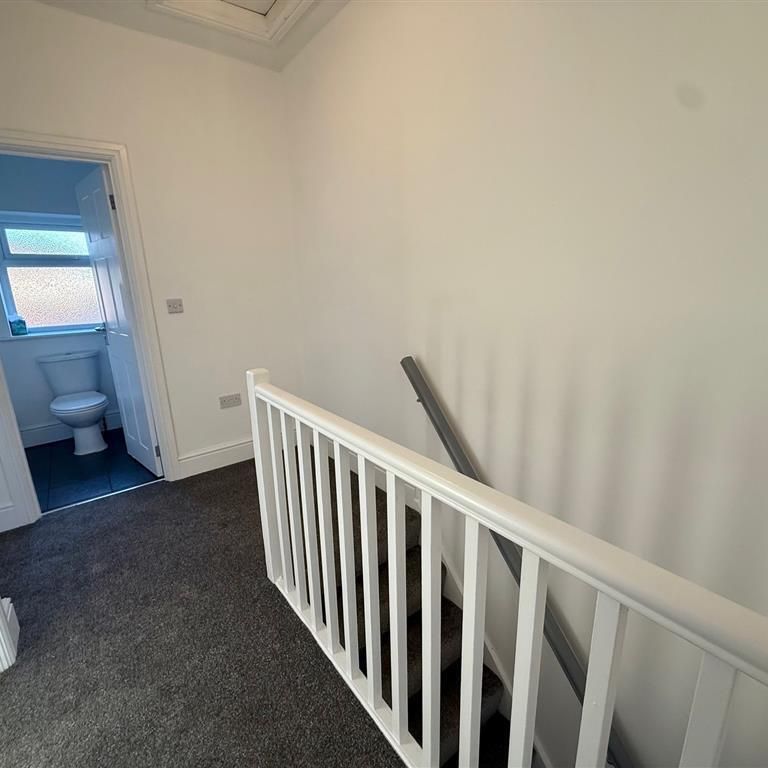 Norfolk Grove - Photo 1