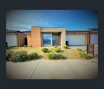 19 Vesper Avenue, Tarneit, Vic 3029 - Photo 4