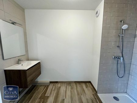 Location Appartement 2 pièces 41m² KEMBS 68680 - Photo 4