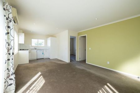 All Day Sun, Modern, Low Maintenance - Photo 4
