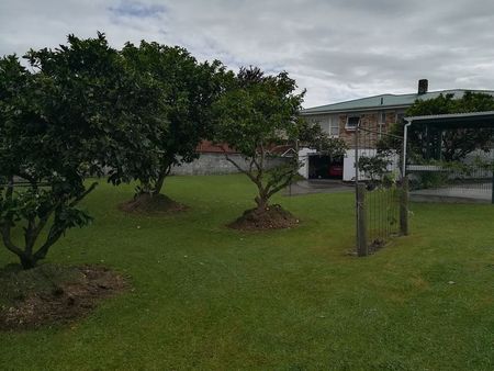 Sunny house with large section in central location - Photo 4