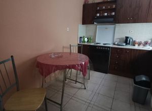 Μονοκατοικία για ενοικίαση - Λαμία, - Φωτογραφία 5
