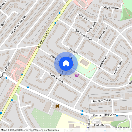Planetree Avenue, Newcastle upon Tyne NE4