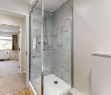 A newly renovated one bedroom apartment - Photo 1