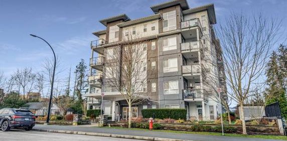 Maple Ridge 1 bed Apt for rent - Photo 2