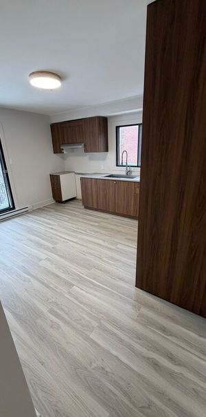 GRAND 4 1/2 RENOVÉ !!! - Photo 1