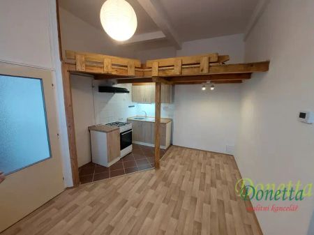 Pronájem pěkného bytu 1+1 v Hradci Králové - Fotografie 2