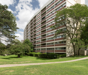 Large, Bright, Renovated 3 BD in PRIME Etobicoke! - Photo 6