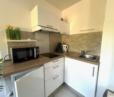 Location Appartement 1 pièce 25m² - Photo 3