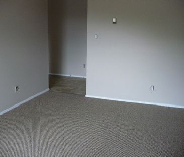 Pet Friendly 2 Bedroom Unit with In-Suite Laundry!! - Photo 2