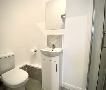 Newly Renovated Studio style en-suite rooms - Photo 1