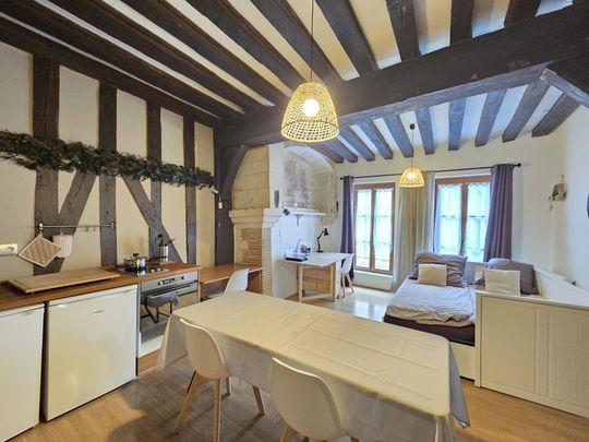 Location Appartement 1 pièce 33m² TROYES 10000 - Photo 1