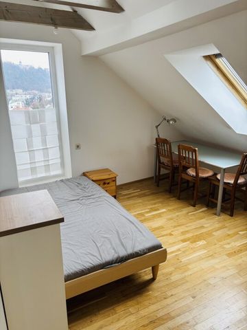 Stilvoll wohnen im Herzen von Graz - Modernes Dachgeschossapartment mit Panoramablick zur Miete! - Photo 5