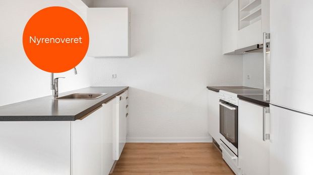 Skønne lejeboliger tæt på natur, gratis parkering og familievenlige - Photo 1