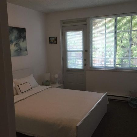 GHETTO MCGILL- 3 ½ RÉNOVÉ & MEUBLÉ – 1 CHAMBRE FERMÉE - Photo 3