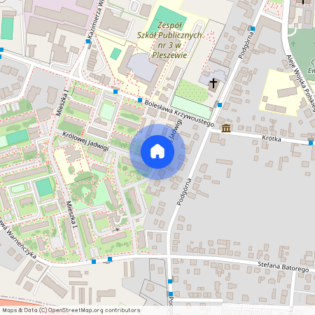 ul. Królowej Jadwigi, Pleszew, Pleszew, pleszewski, wielkopolskie