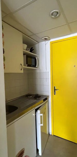 Appartement à louer 1 pièce 16.75m² - Photo 1
