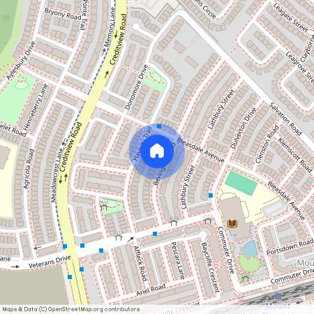 48 Bevington Road Unit# Basement, Brampton