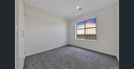 Modern 4- Bedroom Home in 11 Swamphen - Photo 4