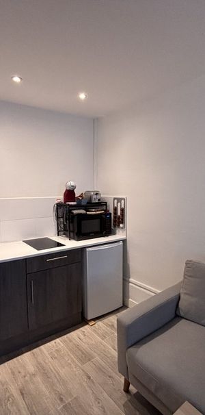 APPARTEMENT T1 A LOUER - LYON 2EME ARRONDISSEMENT - 26.22 m2 - 595 € charges comprises par mois - Photo 1