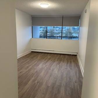 Pet Friendly 1BR/1BA in Burnaby. Spacious, Near SFU, Skytrain, Mall - Photo 3