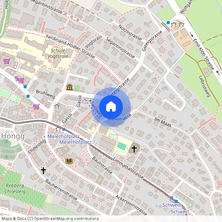 Bläsistrasse 25, 8049 Zürich