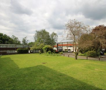 3 Bed Terraced House, Park Hill Rise, CR0 - Photo 5