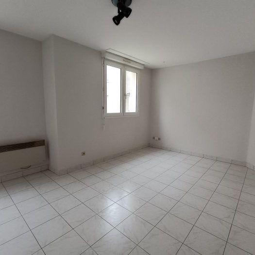 Appartement à louer, 1 pièce - Angers 49000 - Photo 1