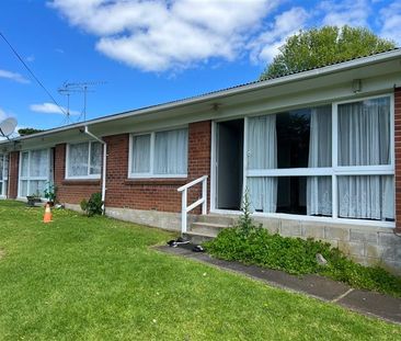 Freshly Renovated, includes Water and Lawns - Photo 2