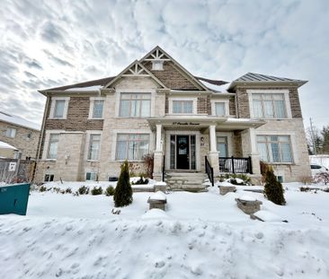 For Lease - 37 Prunella Crescent Unit# Bsmt, East Gwillimbury, Ontario - Photo 3