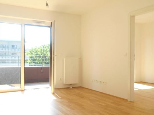 Q5 am PARK sonnige 2ZI mit West/Balkon - Foto 1